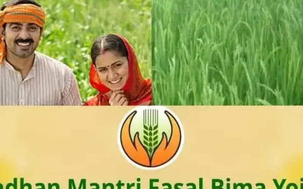 PM ફસલ બીમા યોજના 2024: ભારત સરકાર ખેડૂતોને પાક વીમા હેઠળ વળતર આપશે, જાણો સંપૂર્ણ અરજી પ્રક્રિયા ક PM Fasal Bima Yojana 2024